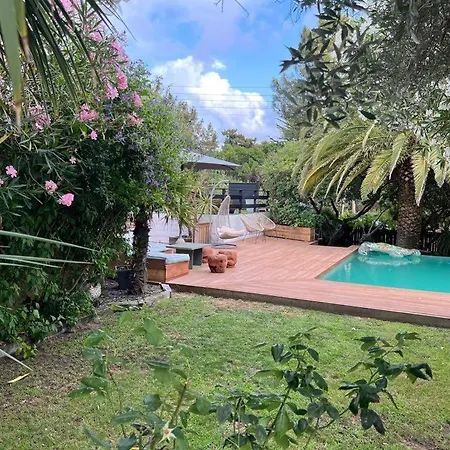 Ocean * Lege-Cap-Ferret